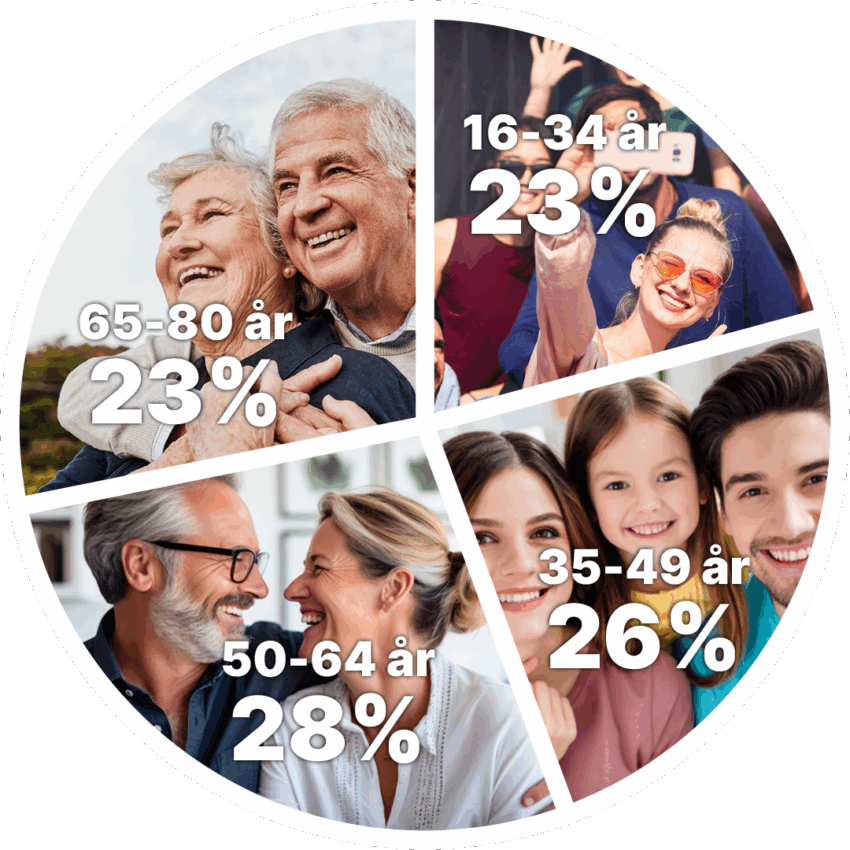 Nå unga med politisk annonsering genom displayannonsering hos Gota Media